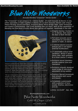 Acousta-Electra Guitar Brochure Blue Note Woodworks