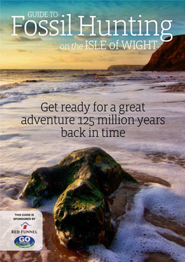Guide to Fossil Hunting on the Isle of Wight