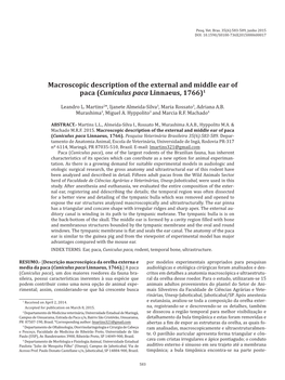 Macroscopic Description of the External and Middle Ear of Paca (Cuniculus Paca Linnaeus, 1766)1