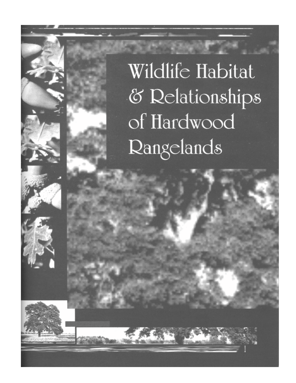 Influence of Scale on the Management of Wildlife in California Oak Woodlands1