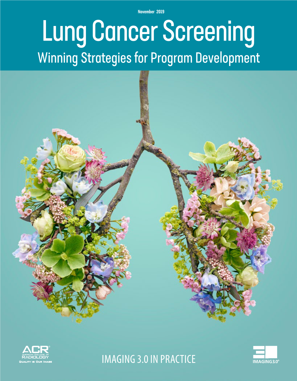 Lung Cancer Screening Winning Strategies for Program Development