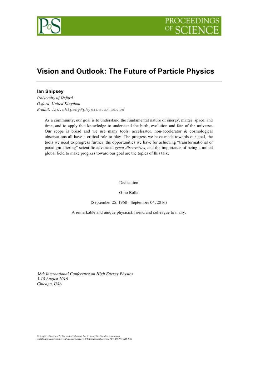 Vision and Outlook: the Future of Particle Physics
