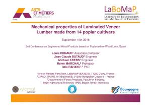 Mechanical Properties of Laminated Veneer Lumber Made from 14 Poplar Cultivars