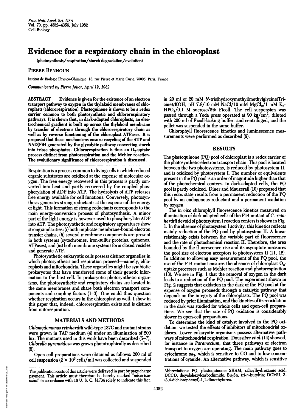 Evidence for a Respiratory Chain in the Chloroplast