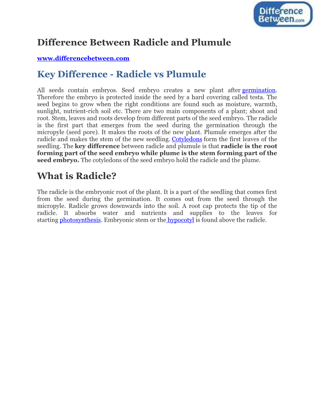 Difference Between Radicle and Plumule Key Difference