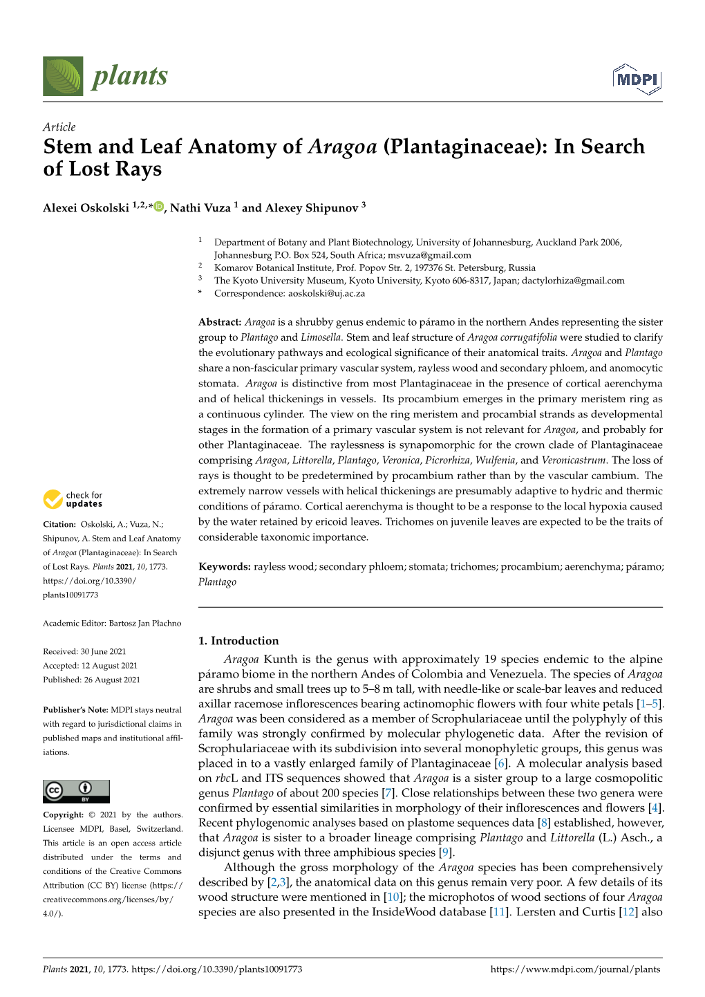 Stem and Leaf Anatomy of Aragoa (Plantaginaceae): in Search of Lost Rays