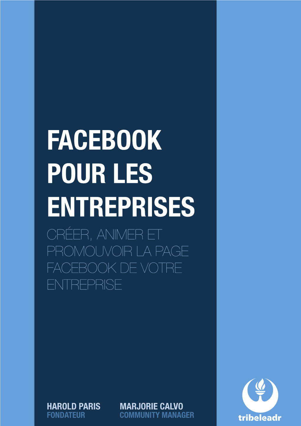 Facebook Pour Les Entreprises. Créer, Animer Et Promouvoir La
