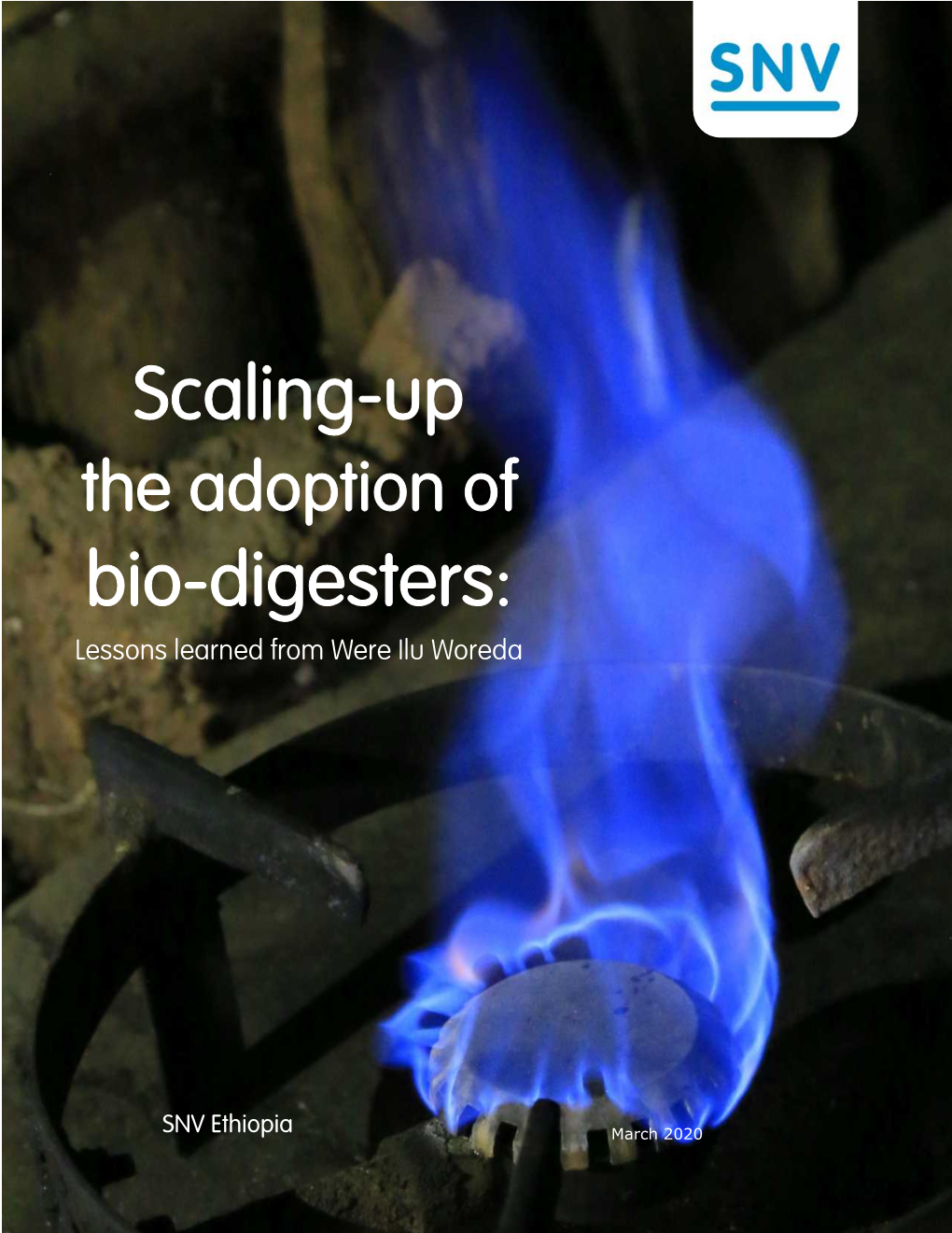 Scaling-Up the Adoption of Bio-Digesters: Lessons