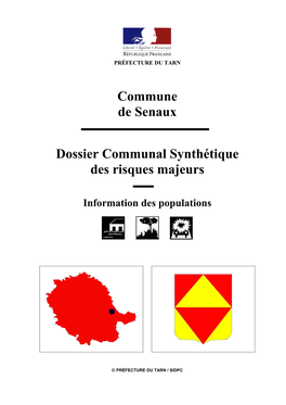 Commune De Senaux Dossier Communal Synthétique Des Risques