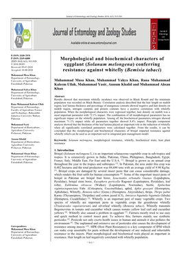 Morphological and Biochemical Characters of Eggplant