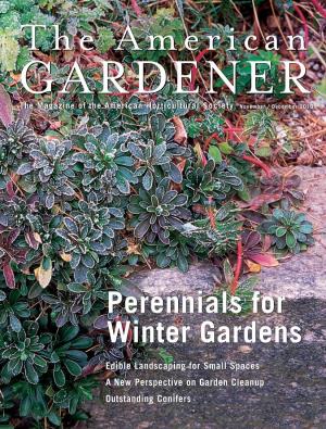 Perennials for Winter Gardens Perennials for Winter Gardens