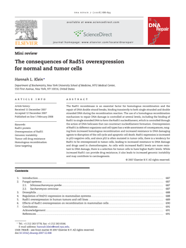 The Consequences of Rad51 Overexpression for Normal and Tumor Cells