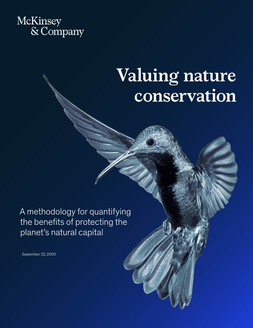 Valuing Nature Conservation Report