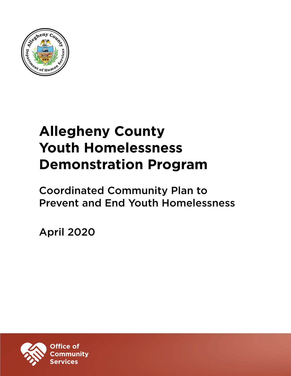 Scope of Youth Homelessness in Allegheny County