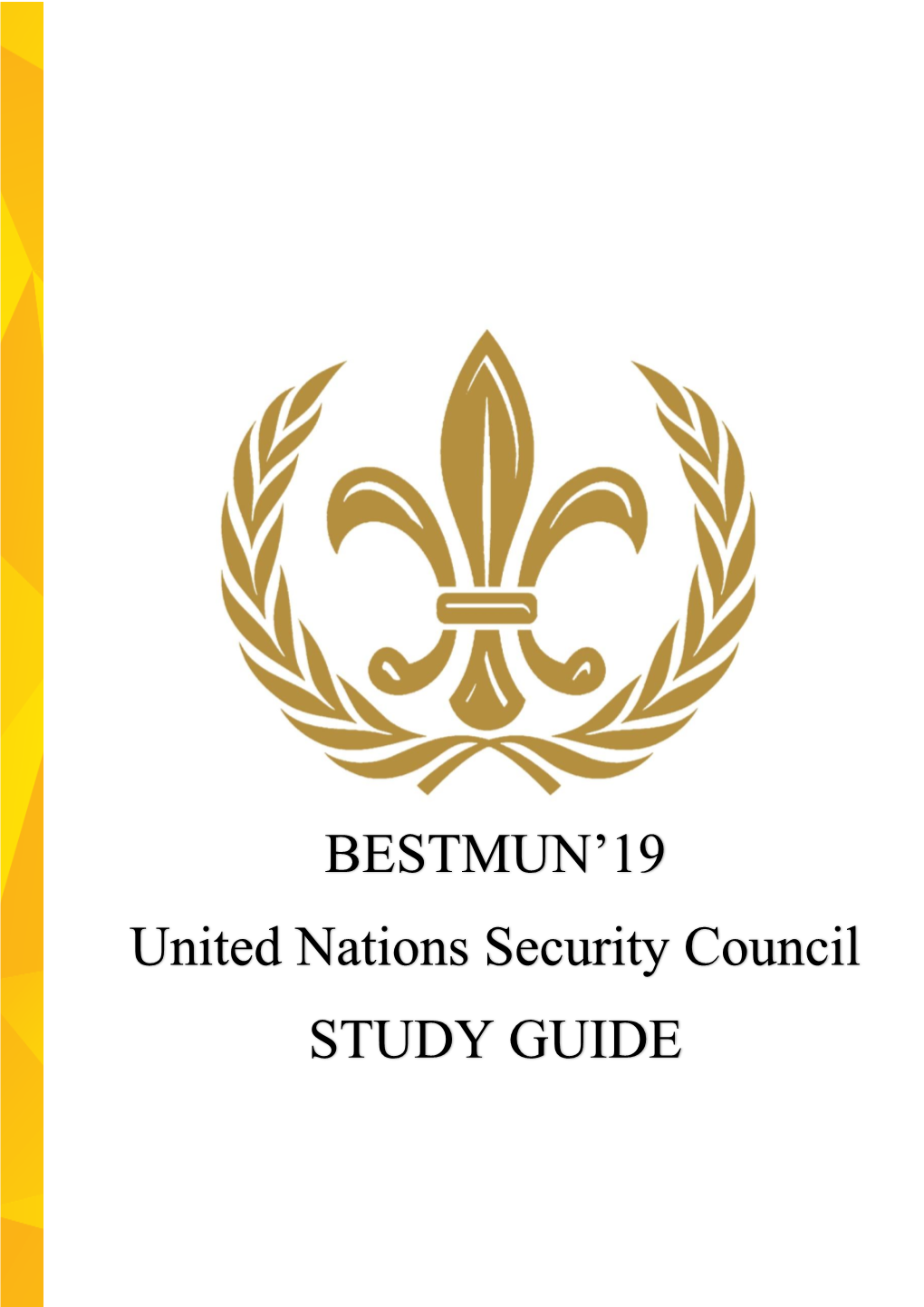 Report of Uned Natıons Under-Secretary-General for Safety