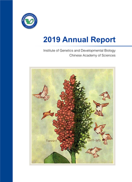 Annual Report 2019 Annual