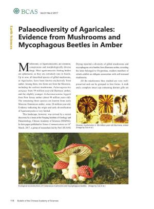 118 Palaeodiversity of Agaricales: Evidence from Mushrooms And