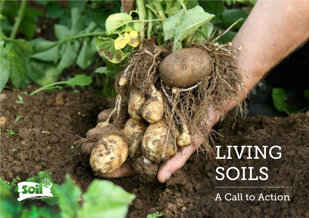 Living Soils: a Call to Action