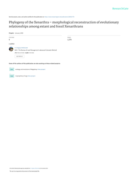 Morphology-Based Investigations of the Phylogenetic Relationships Among Extant and Fossil Xenarthrans