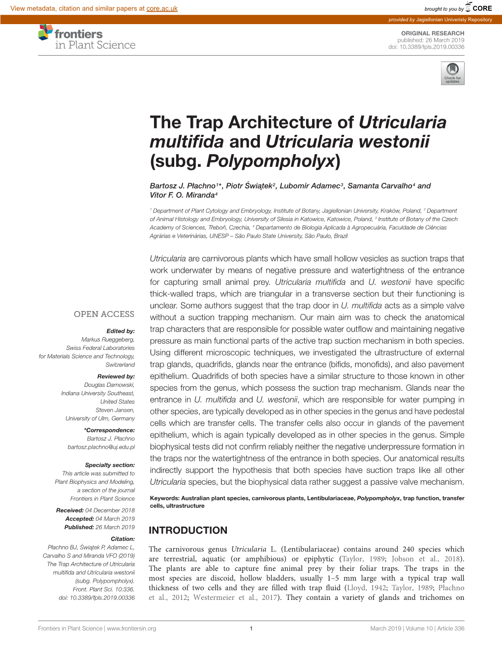 The Trap Architecture of Utricularia Multifida and Utricularia Westonii (Subg. Polypompholyx)