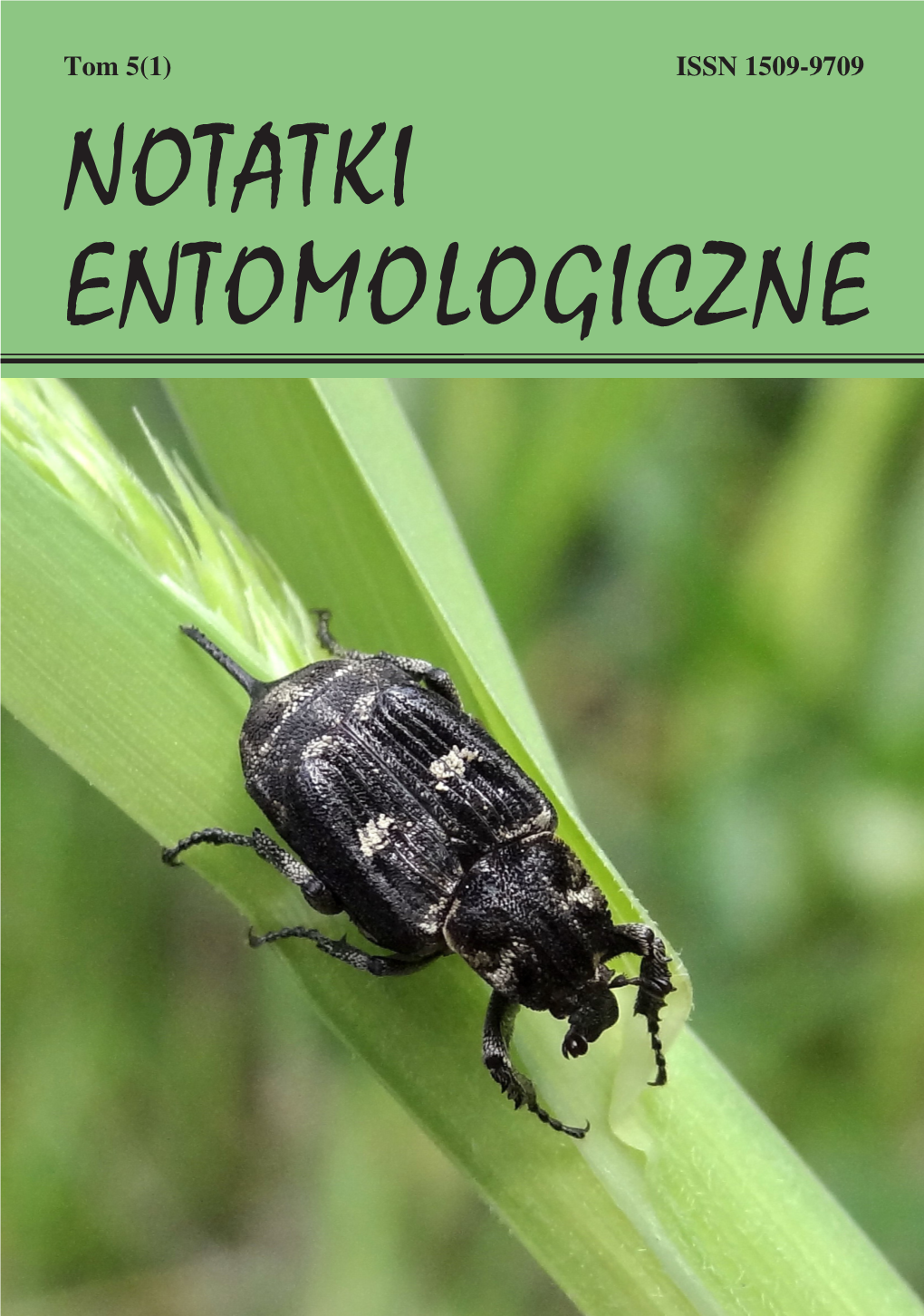 Notatki Entomologiczne Redakcja / Editorial Staff Redaktor Naczelny / Managing Editor: Andrzej S