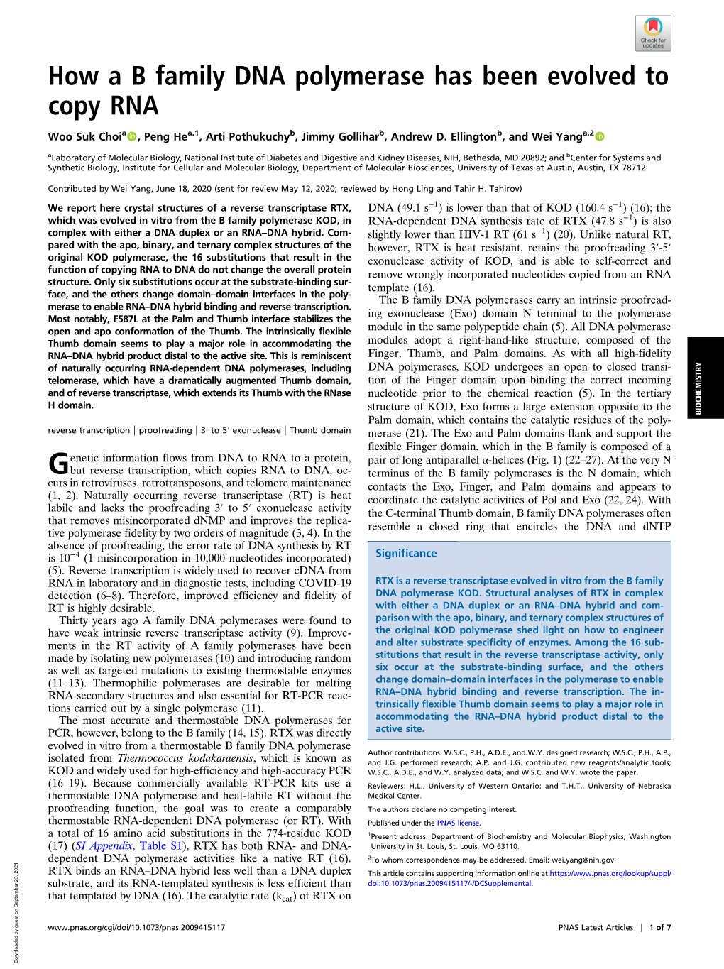 How a B Family DNA Polymerase Has Been Evolved to Copy RNA