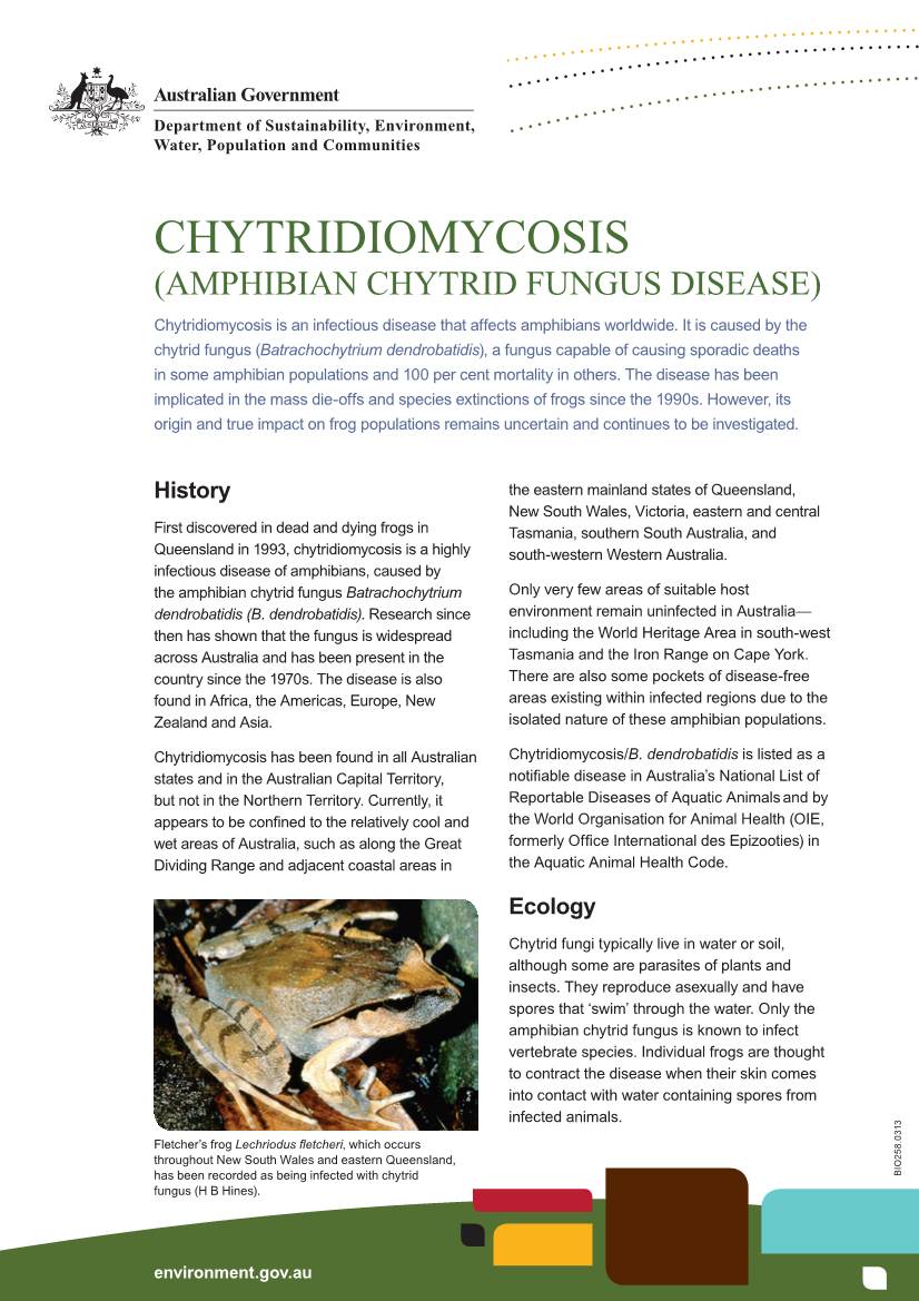 CHYTRIDIOMYCOSIS (AMPHIBIAN CHYTRID FUNGUS DISEASE) Chytridiomycosis Is an Infectious Disease That Affects Amphibians Worldwide