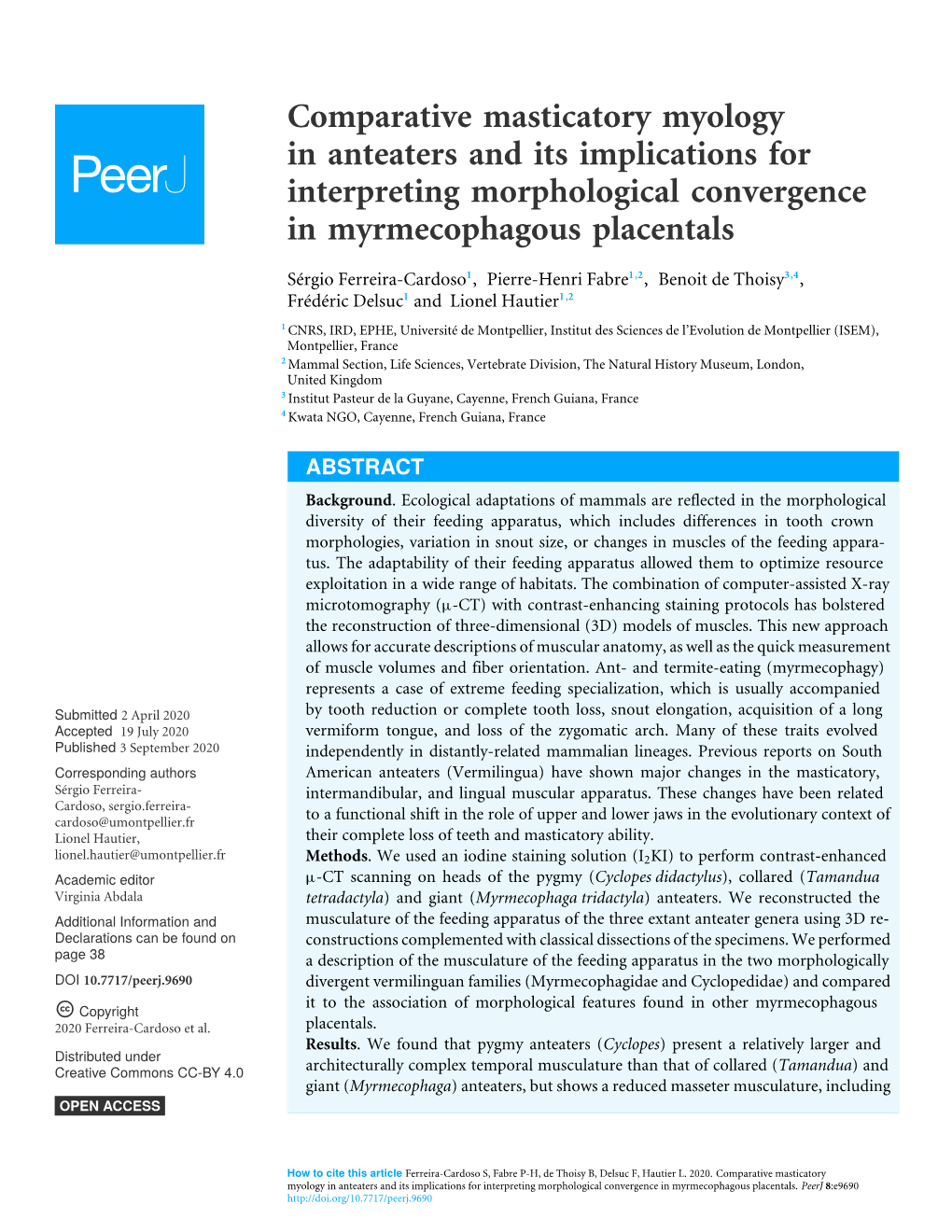 Comparative Masticatory Myology in Anteaters and Its Implications for Interpreting Morphological Convergence in Myrmecophagous Placentals