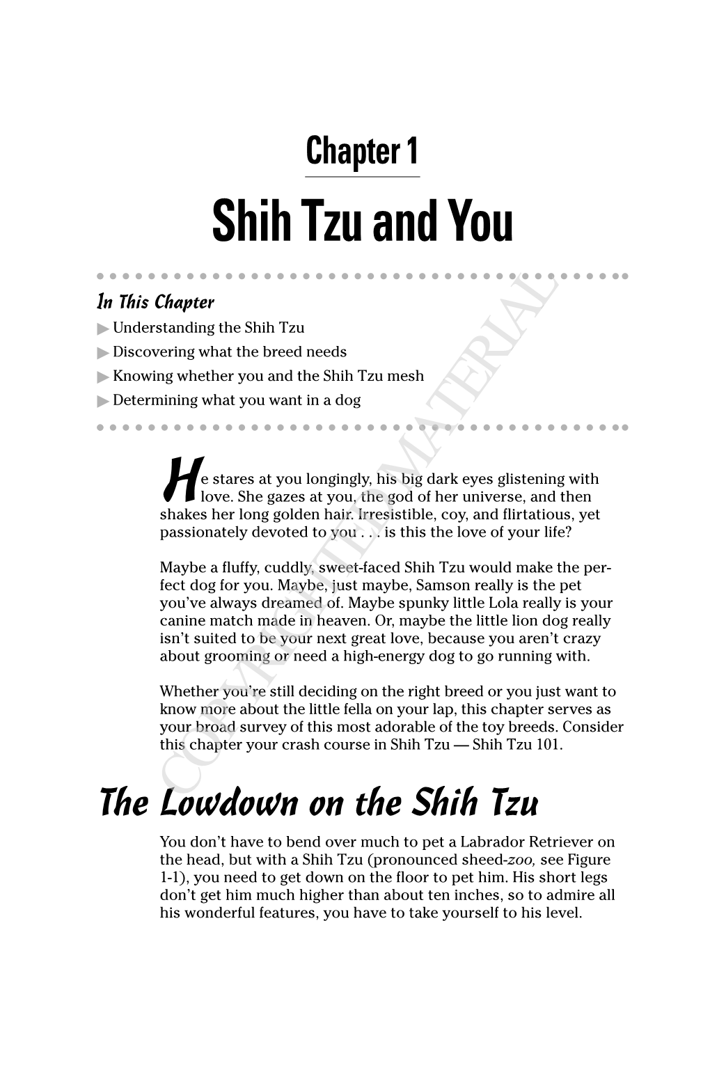 Shih Tzu and You