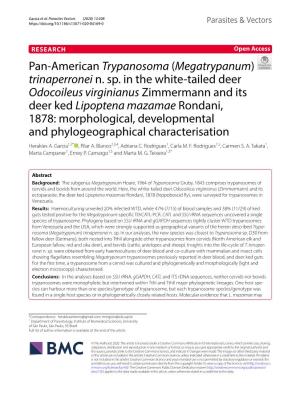 Pan-American Trypanosoma (Megatrypanum) Trinaperronei N. Sp