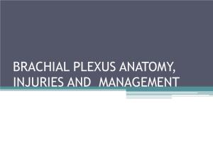 BRACHIAL PLEXUS ANATOMY, INJURIES and MANAGEMENT • Brachial Plexus Is Network of Nerves That Supply Sensation and Motor Function to Upper Extremity