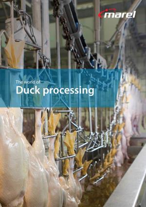 The World of Duck Processing the World of Duck Processing