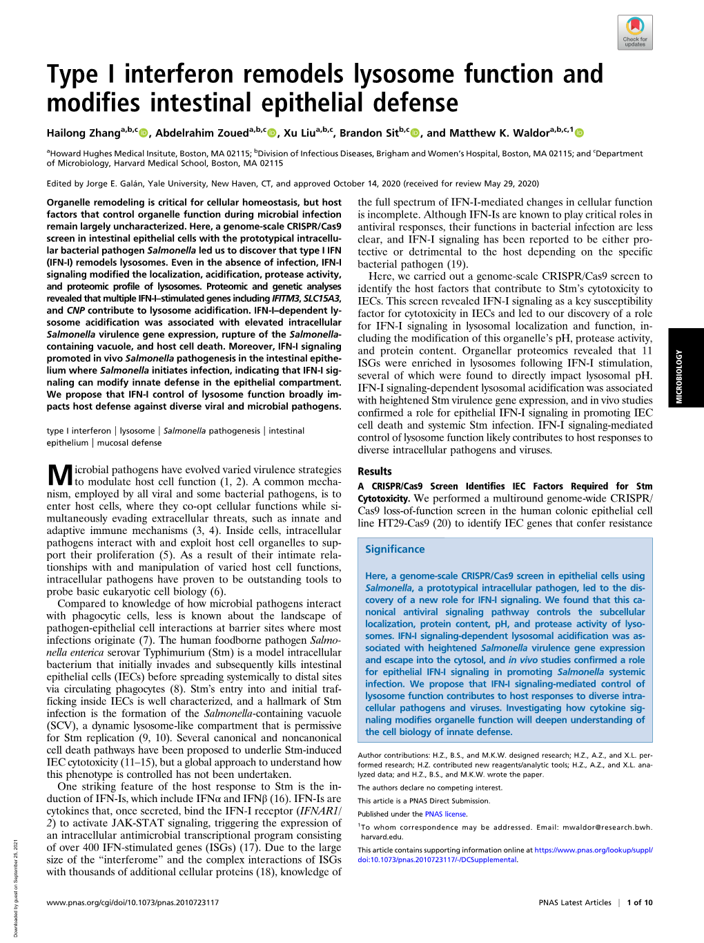 Type I Interferon Remodels Lysosome Function and Modifies Intestinal Epithelial Defense