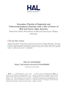 Secondary Plastids of Euglenids and Chlorarachniophytes Function With