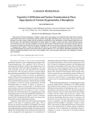 Vegetative Cell Division and Nuclear Translocation in Three Algae Species of Netrium (Zygnematales, Chlorophyta)