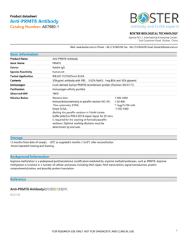 Datasheet A07980-1 Anti-PRMT8 Antibody