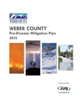 WFRC PDM Plan 2009