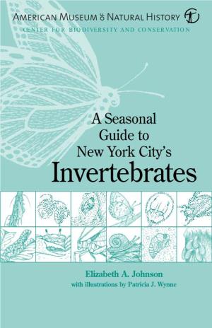 A Seasonal Guide to New York City's Invertebrates
