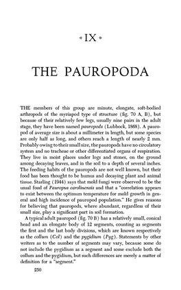 The Pauropoda