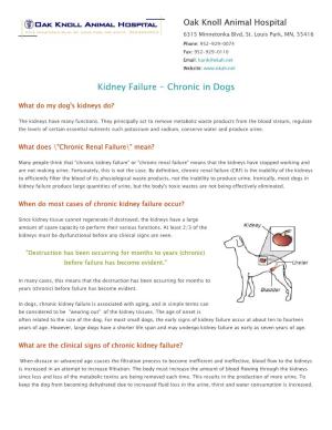 Kidney Failure - Chronic in Dogs