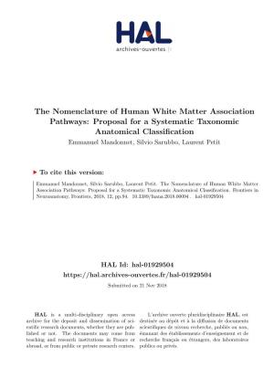 The Nomenclature of Human White Matter Association Pathways: Proposal for a Systematic Taxonomic Anatomical Classification