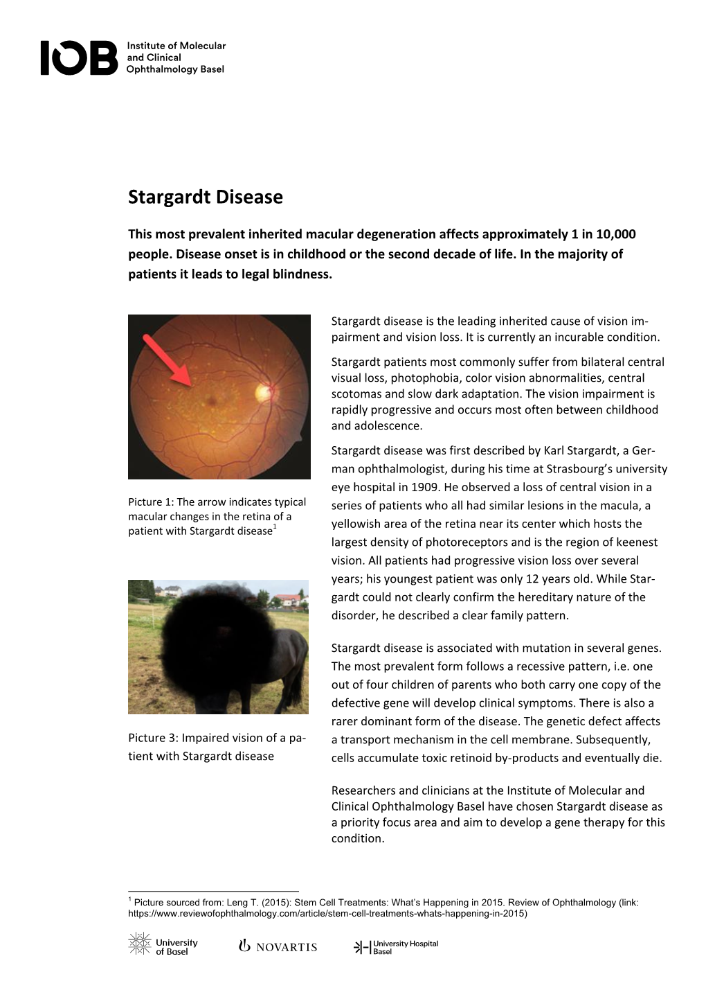 Factsheet Stargardt Disease