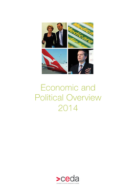 Economic and Political Overview 2014