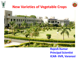 New Varieties of Vegetable Crops