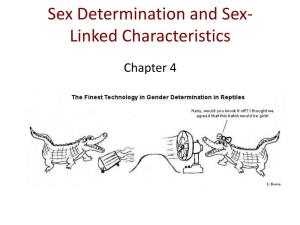 Sex Determination and Sex-Linked Characteristics
