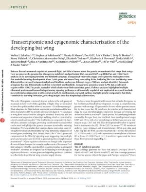 Transcriptomic and Epigenomic Characterization of the Developing Bat Wing