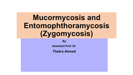 Mucormycosis and Entomophthoramycosis (Zygomycosis) by Assistant Prof