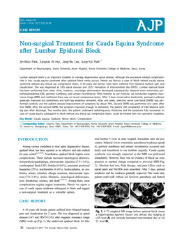 Non-Surgical Treatment for Cauda Equina Syndrome After Lumbar Epidural Block