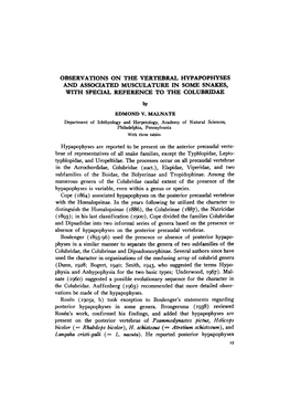 Observations on the Vertebral Hypapophyses and Associated Musculature in Some Snakes, with Special Reference to the Colubridae