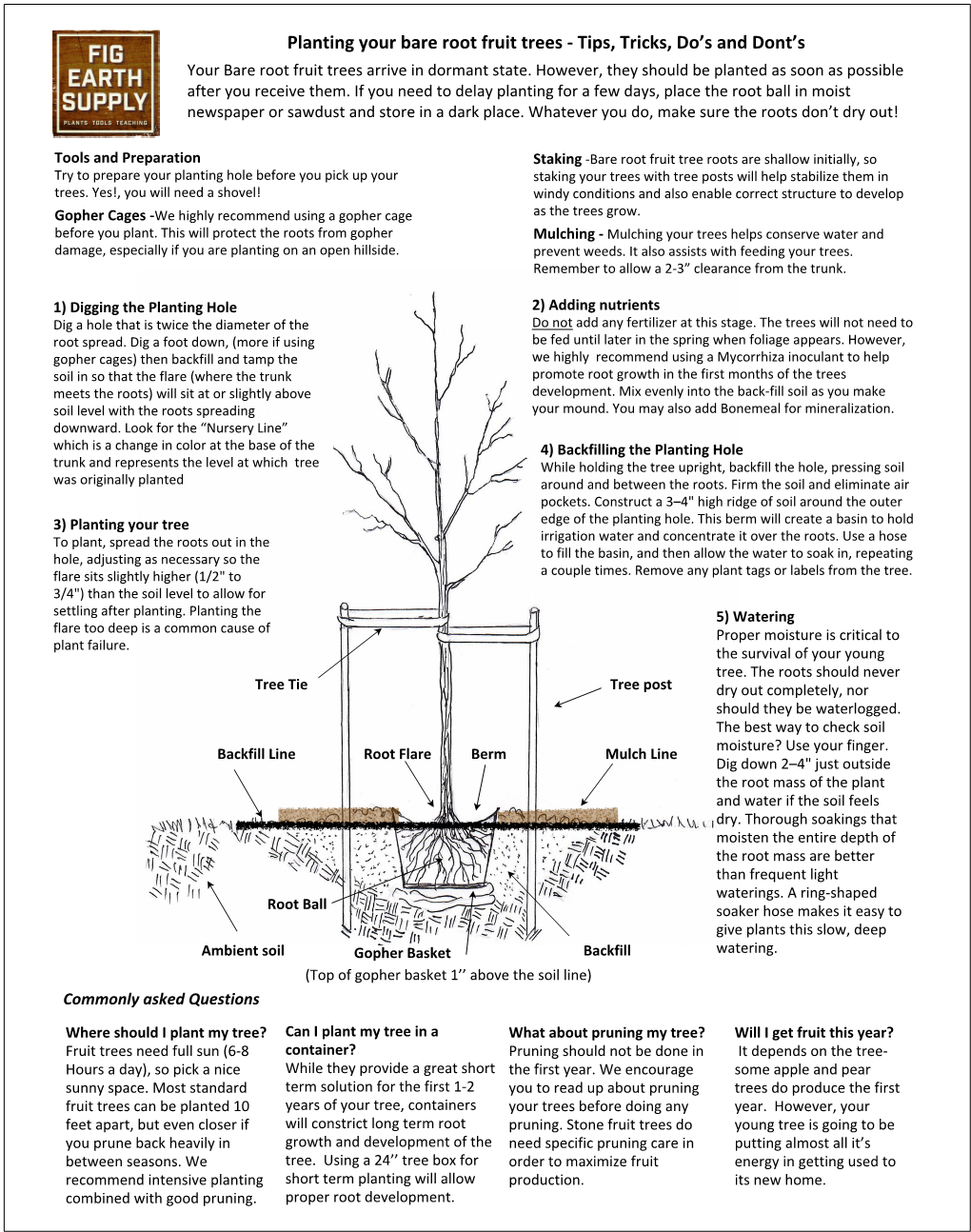 Planting Your Bare Root Fruit Trees - Tips, Tricks, Do’S and Dont’S ...